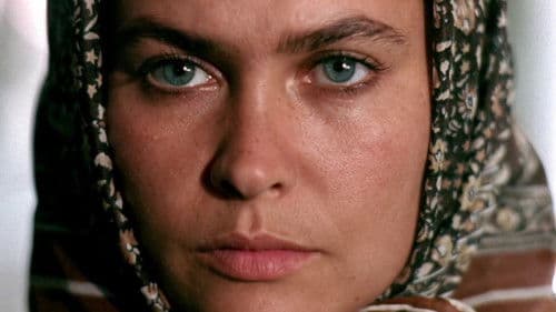 Berlin in Berlin Bild 1