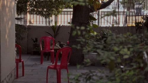 चार फूल हैं और दुनिया है Bild 6