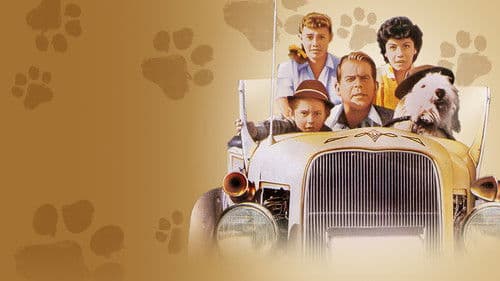 Der unheimliche Zotti Bild 5