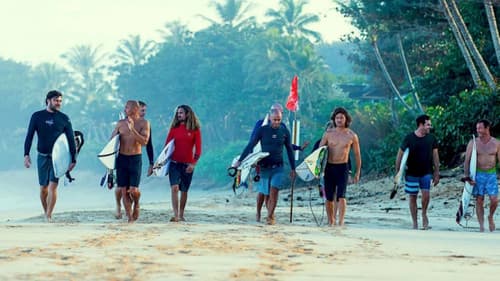 Momentum Generation Bild 2