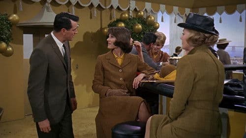 Ein Goldfisch an der Leine Bild 6