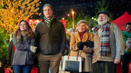 Zurück zu den Weihnachtssternen Bild 7