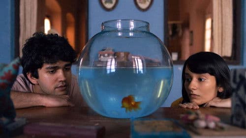 What are the Odds? Bild 1