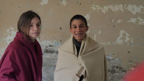 Tavşan İmparatorluğu Bild 3