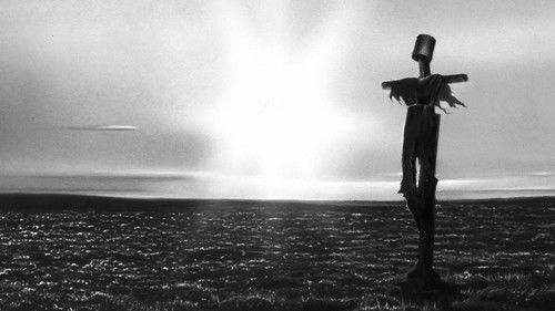 Northern Lights Bild 4