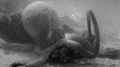 20000 Meilen unter dem Meer Bild 6