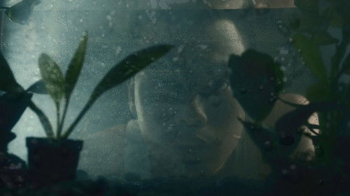 I Can't Live Without A Dream Bild 3