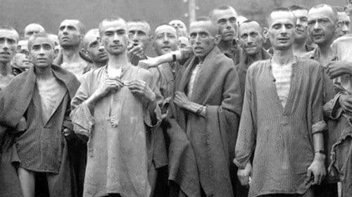 Nacht und Nebel Bild 3