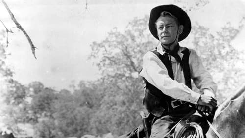 Herrscher über weites Land Bild 3