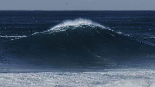 Kalani: Gift from Heaven Bild 2