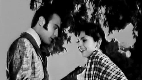 Ανθισμένη Αμυγδαλιά Bild 4