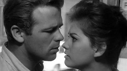 Vento del Sud Bild 3