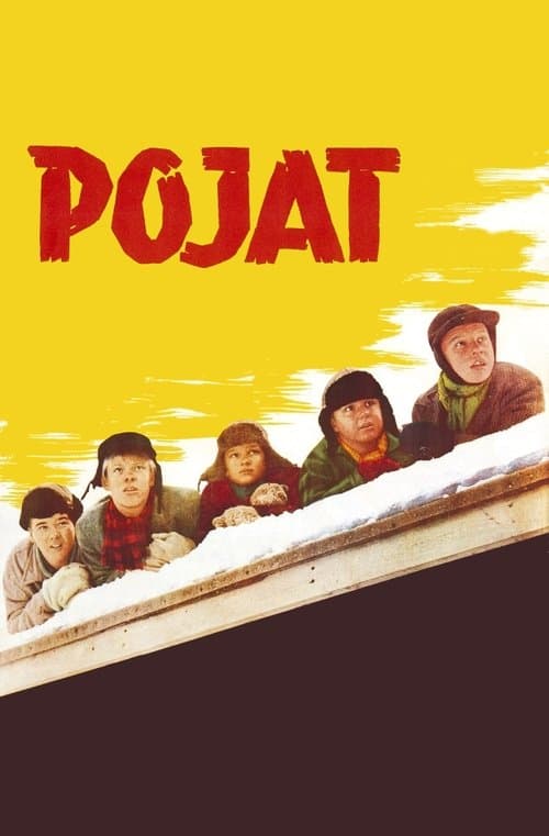 Pojat