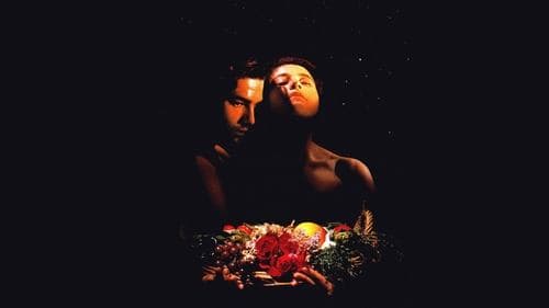 Bittersüße Schokolade Bild 2