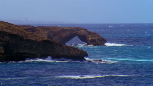 Psychic Migrations Bild 8