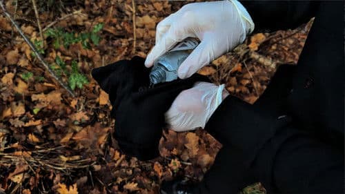 Femte Mission Bild 5