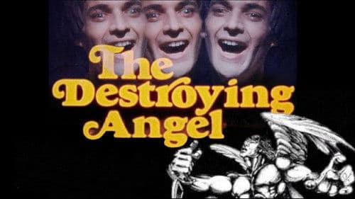 The Destroying Angel Bild 1