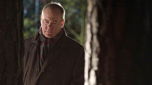 Kommissar Beck 22 - Tödliche Bande Bild 4