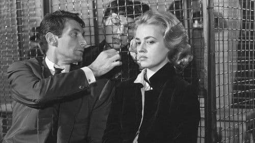 Fahrstuhl zum Schafott Bild 8