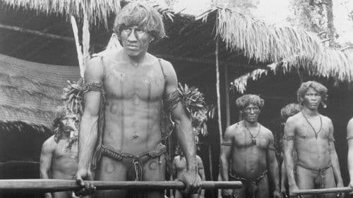 Ein Pfeil in den Himmel Bild 2