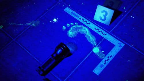 Medical Detectives – Geheimnisse der Gerichtsmedizin Bild 1