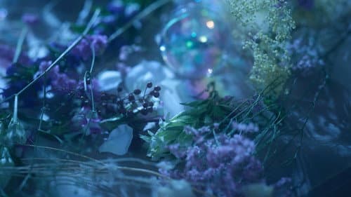 ミュージカル十二国記 -月の影 影の海- Bild 2