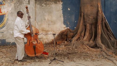 The Rumba Kings Bild 4