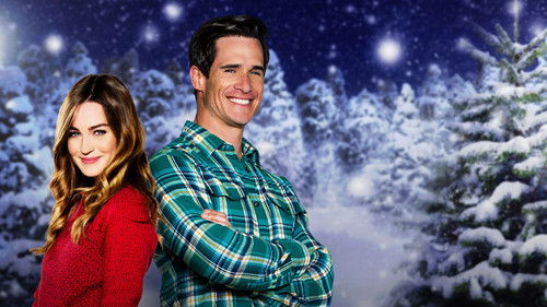 The Spruces and the Pines Bild 1