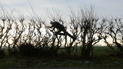 Leaning Into the Wind: Andy Goldsworthy Bild 5
