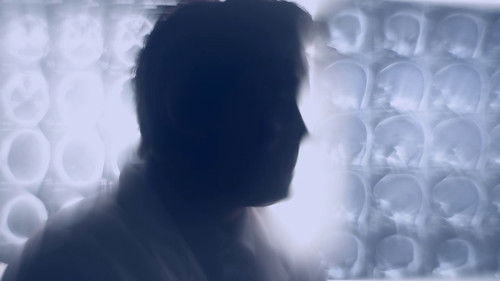 Blur - Em Busca de Sentidos Bild 5