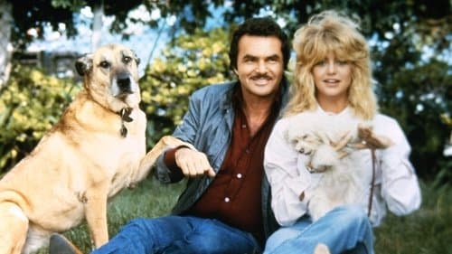 Zwei dicke Freunde Bild 1