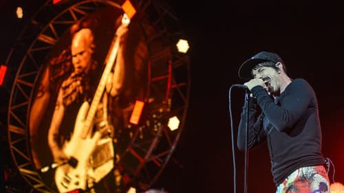 Red Hot Chili Peppers - Live Reading Festival 2016 Bild 5