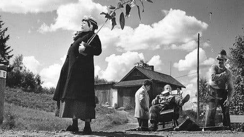 Pekka Puupää kesälaitumilla Bild 1