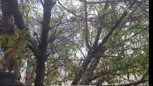 Plants And Nothing Else Bild 1