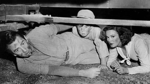 Der schwarze Mustang Bild 1