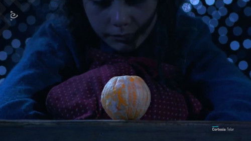 Naranjas Sin Piel Bild 2