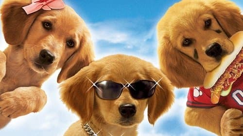 Air Buddies - Die Welpen sind los Bild 2
