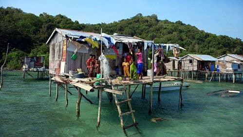 Coral Triangle Bild 2