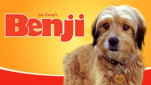 Benji - Auf heißer Fährte Bild 6