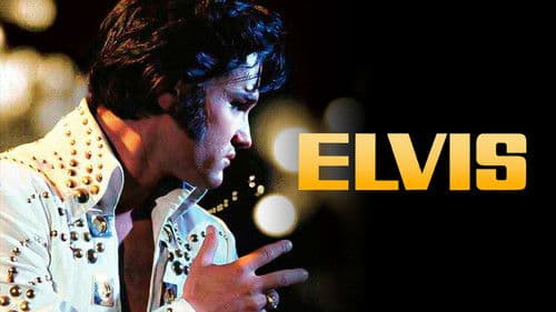 Elvis Bild 5