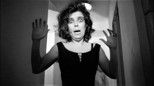 The Secret Cinema Bild 2