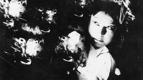 怪猫逢魔が辻 Bild 1