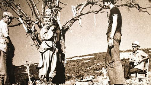 Gökçe Çiçek Bild 2