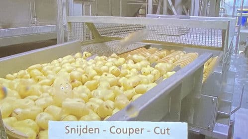 Van patat tot friet! Bild 2