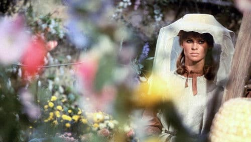 Die Herrin von Thornhill Bild 2