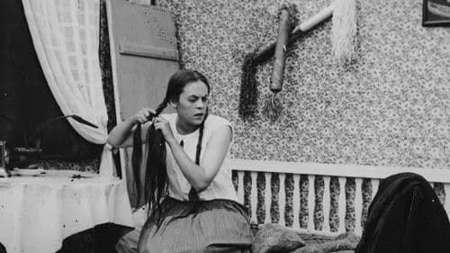 Fröken på Björneborg Bild 1