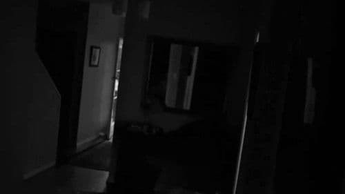 Follow the Light Bild 1