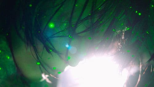 The Fifth Thoracic Vertebra Bild 1