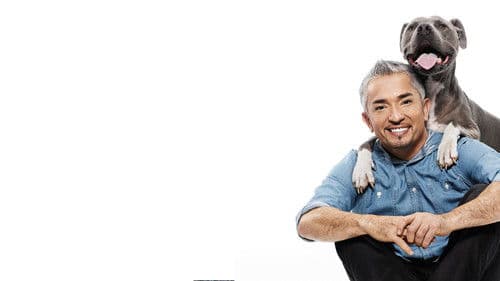 Der Hundeflüsterer Bild 5