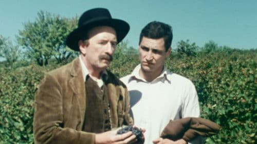 Ces grappes de ma vigne Bild 1